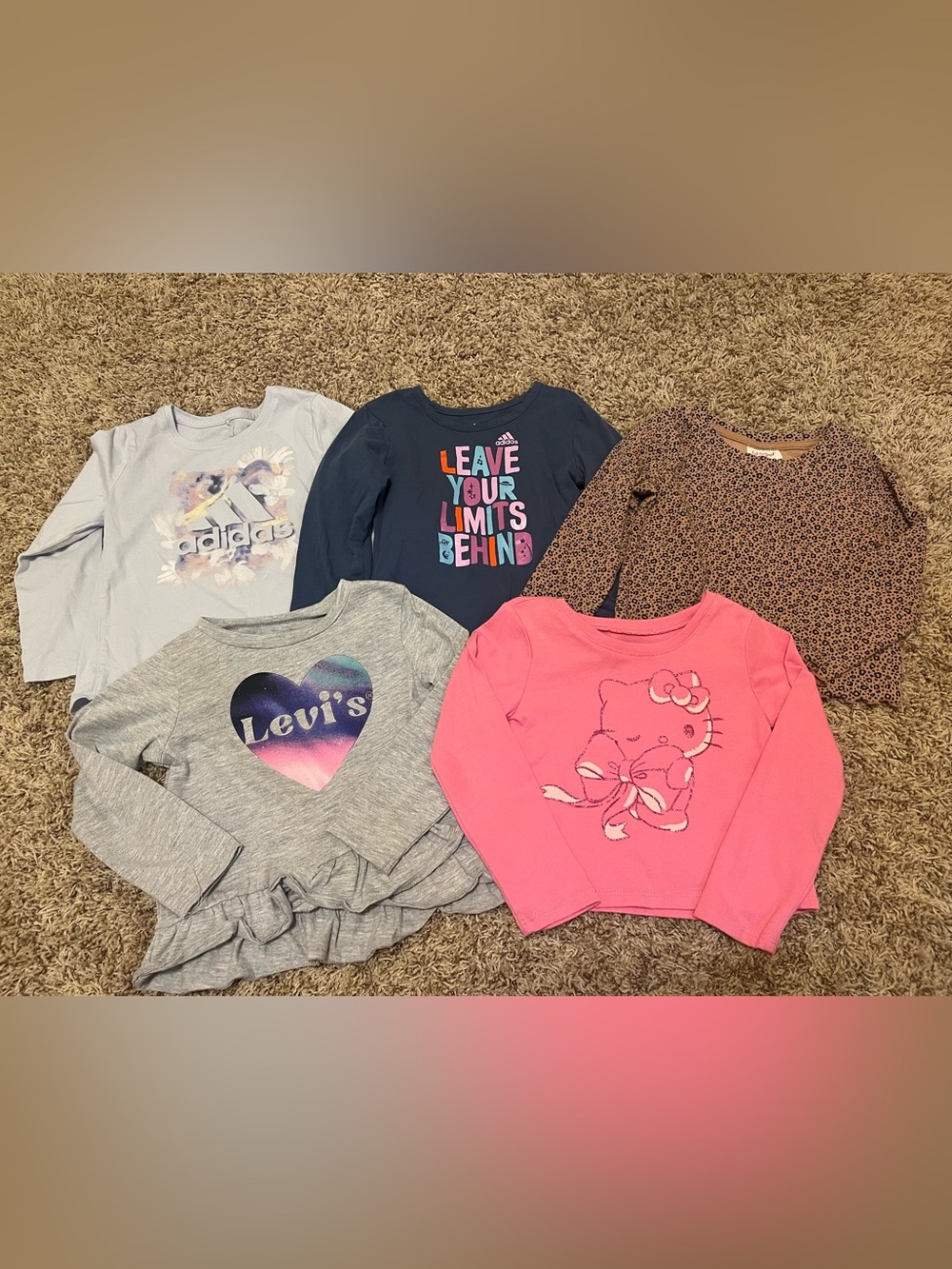 2t Girls Long Sleeve Lot